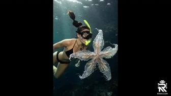 Dangerous contact underwater thumbnail
